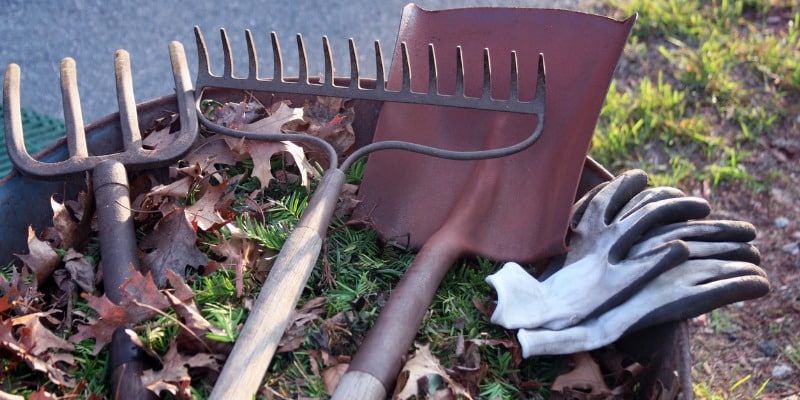 Fall landscape cleanup tools in wheelbarrow