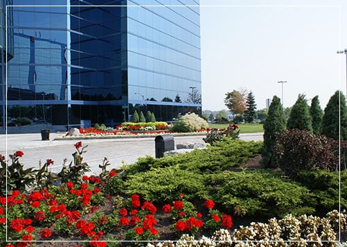 Flowers on commercial property in Markham