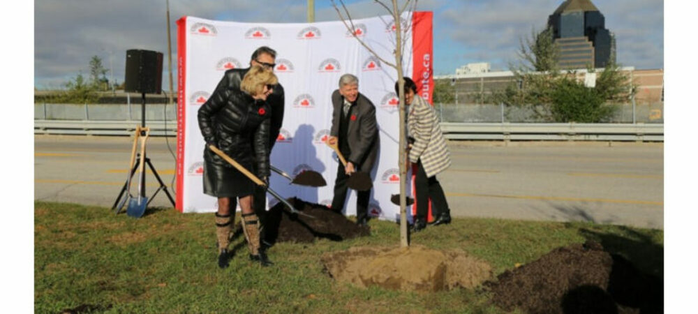 3 1 f56e196b294f7533c9b32571172fc8b0 3 1 f56e196b294f7533c9b32571172fc8b0