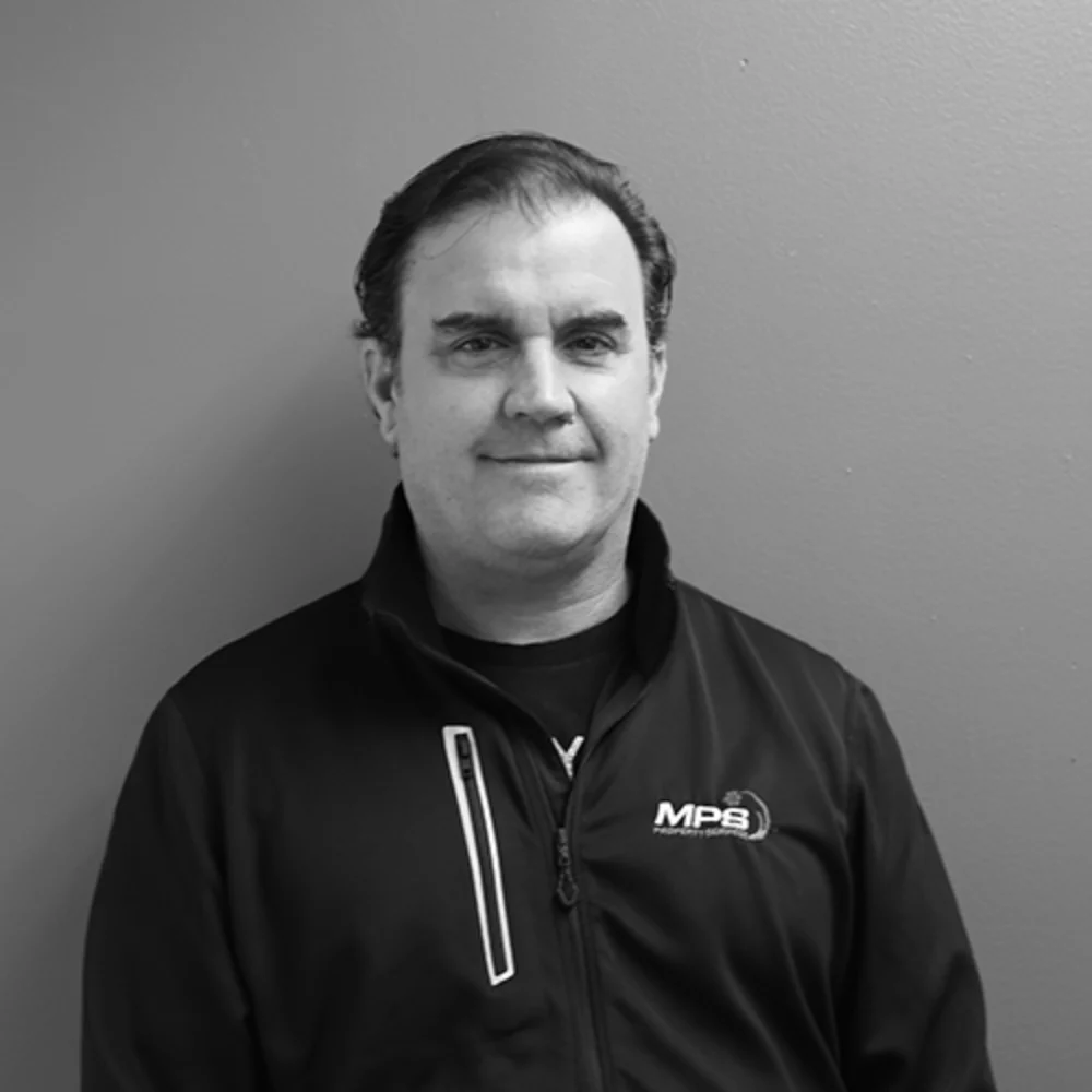 Vice-President | Co-Owner