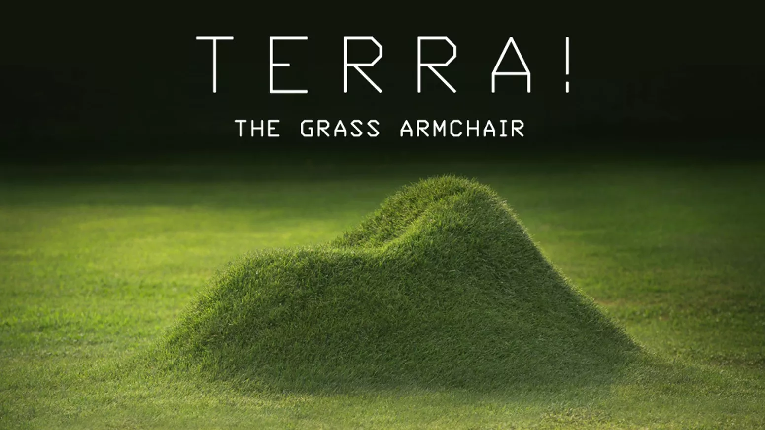 Grow Your Own Furniture