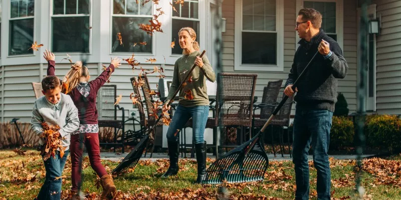 All You Need to Know About Raking Leaves in The Fall | Leaf Raking 101