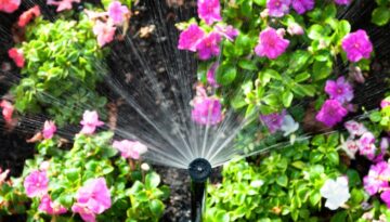 flowerbed-sprinkler-keeping-garden-irrigated-picture-id1321503383-1