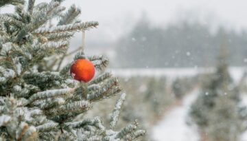 single-ornament-picture-id840585392-1 (1)