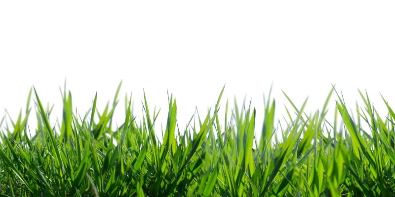 Spring Residential News