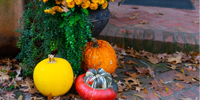 Fall Container Gardening