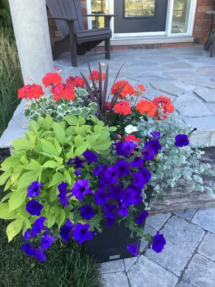 Summer Planters