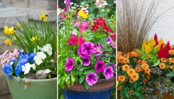 Different Planters.png