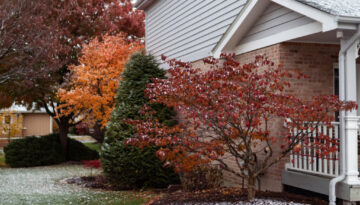 Winter Landscaping