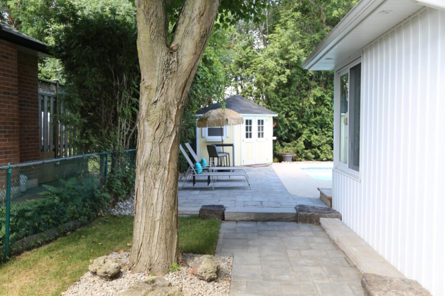 Backyard 1