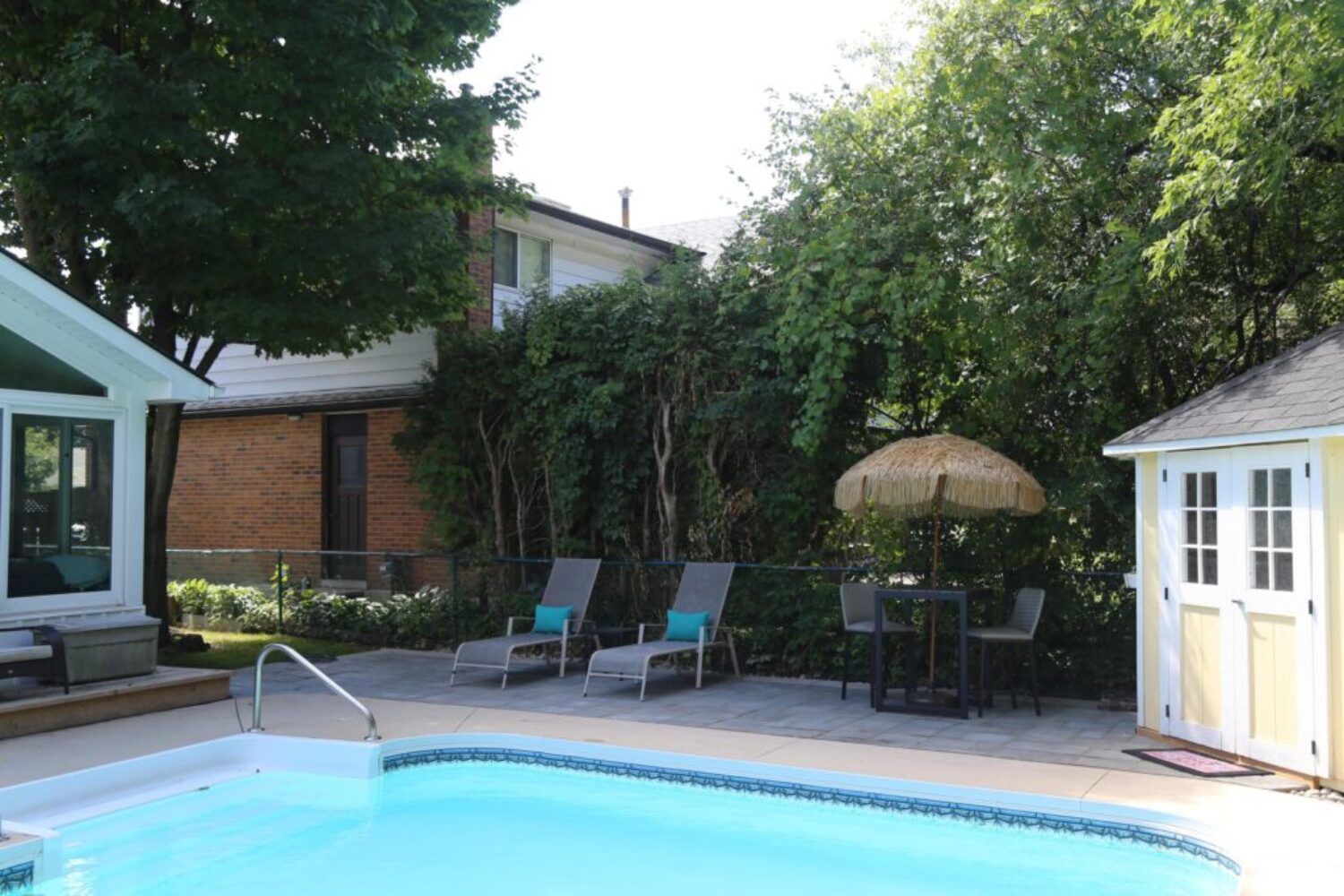 Backyard 10