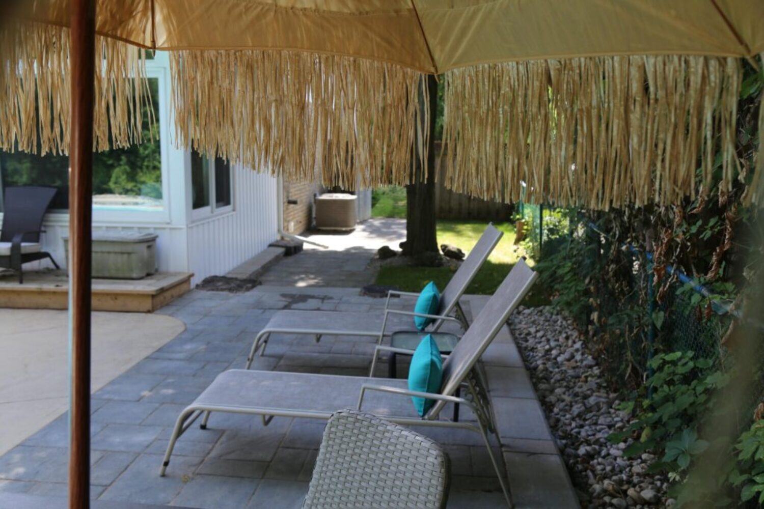 Backyard 8