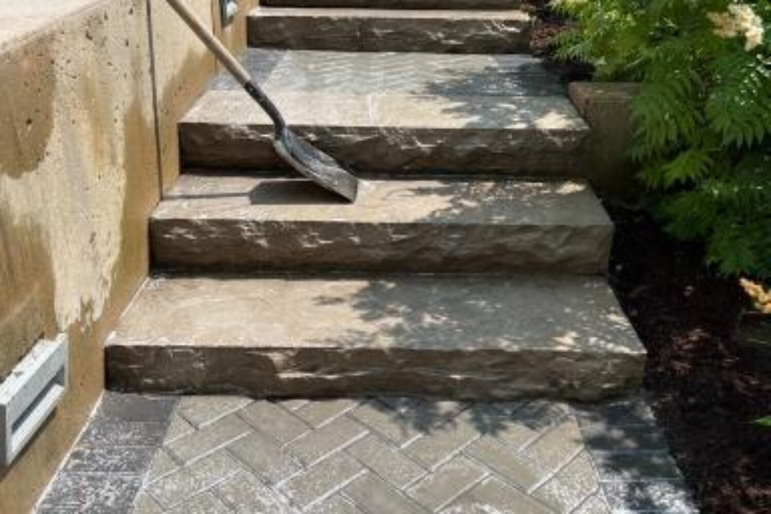 Photos of Progress 1