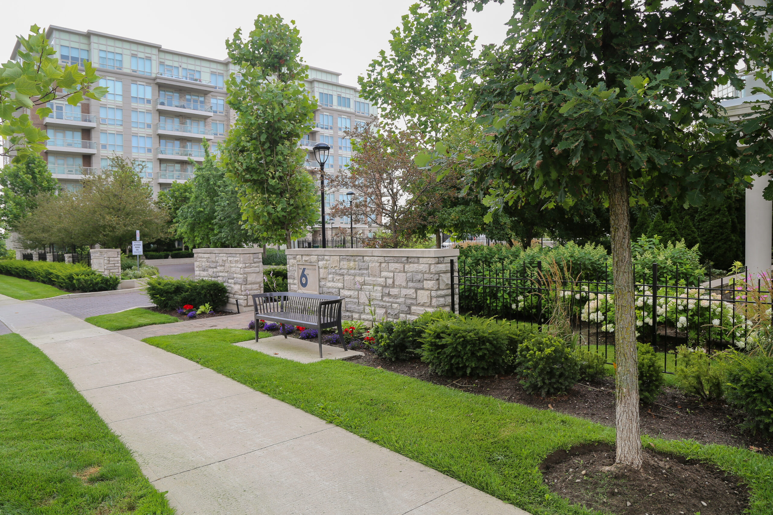 Summer Landscape Maintenance