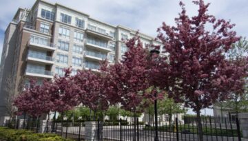 Commercial Landscaping for Strata