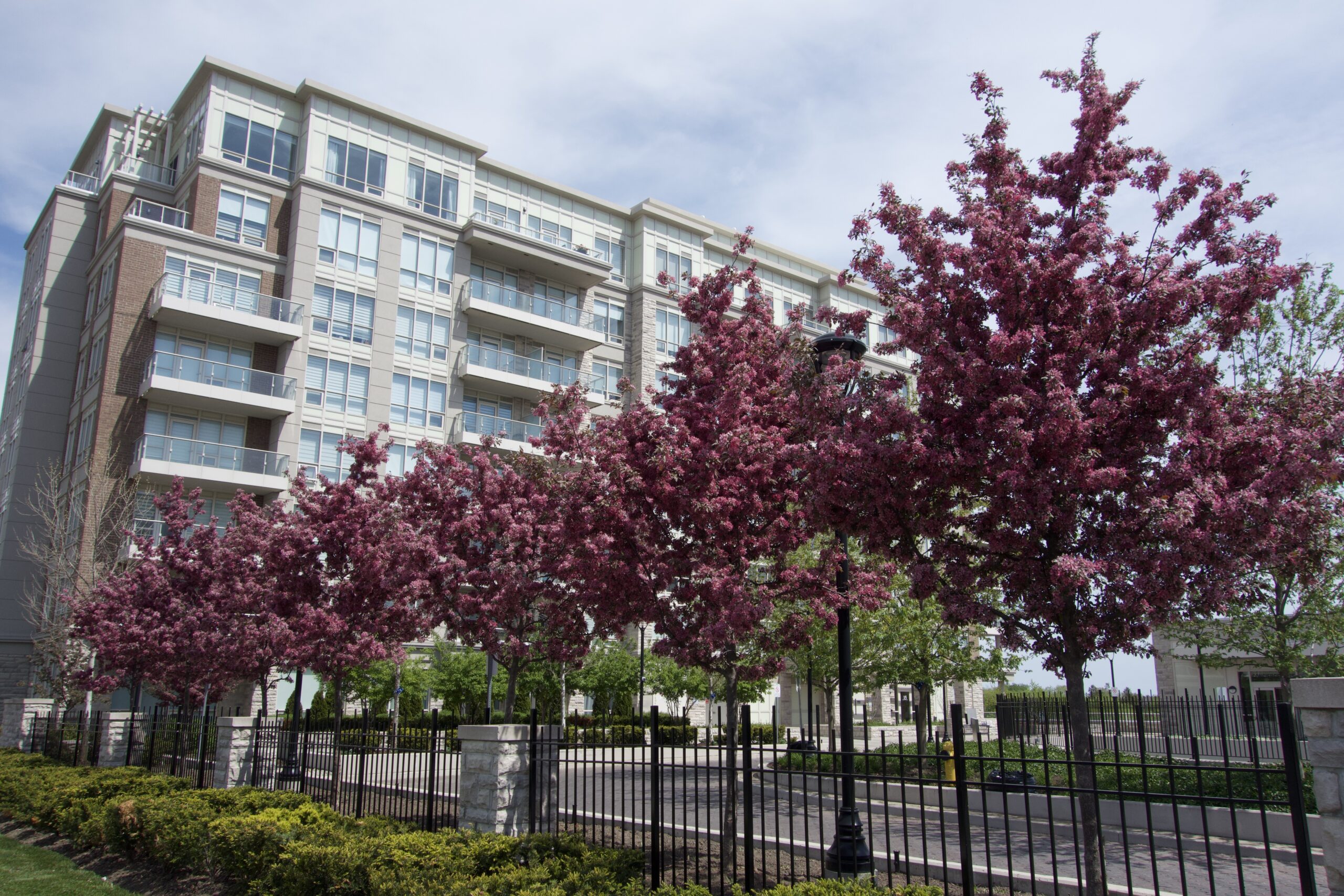 Commercial Landscaping: Why First Impressions Matter