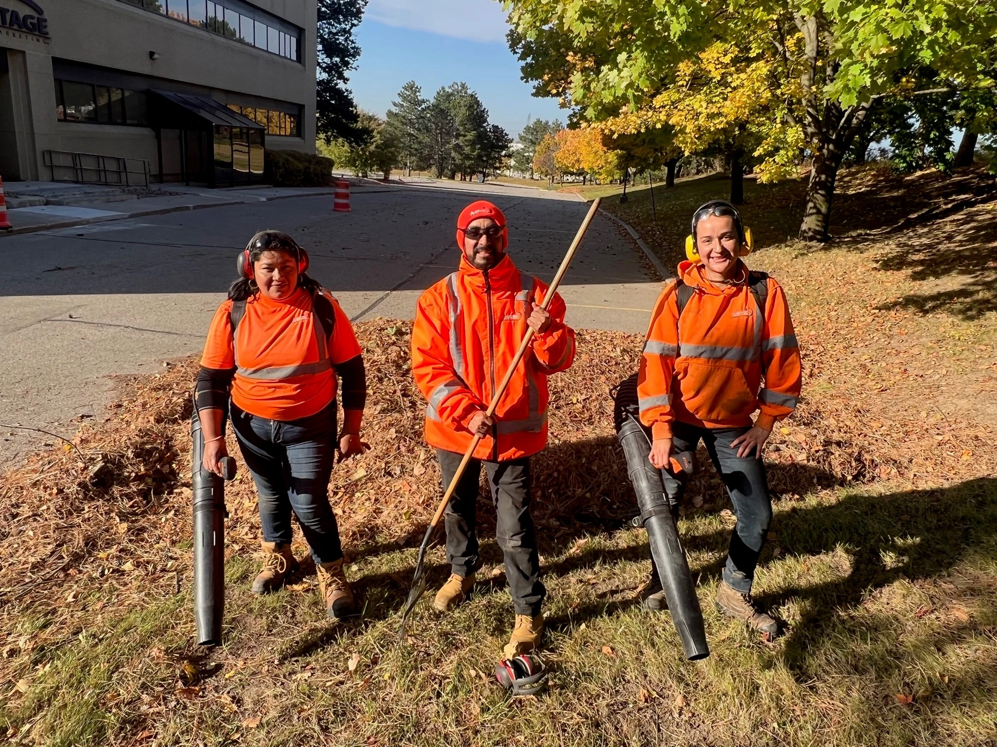 The Complete Guide to Fall Garden Cleanup