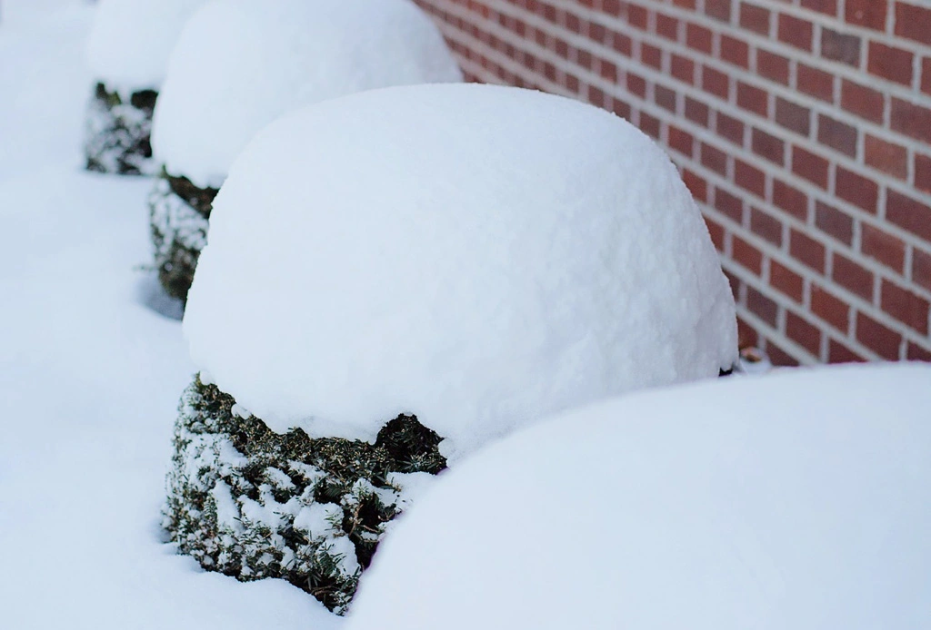 Protecting Outdoor Structures During Snow Season