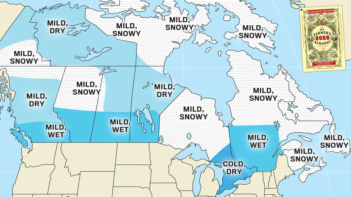 2025–2026 Winter Forecast — A Look Ahead (With a Grain of Salt)