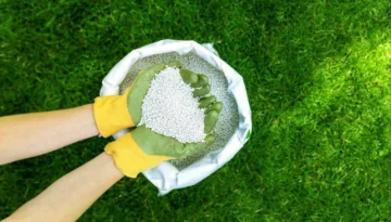 Fertilizing Programs by Season Spring to Fall3