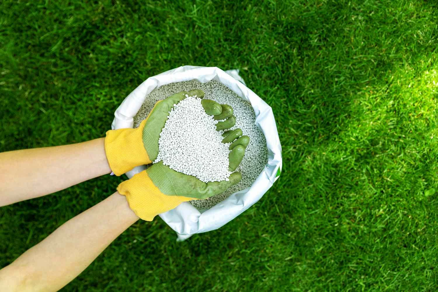 Fertilizing Programs by Season: Spring to Fall