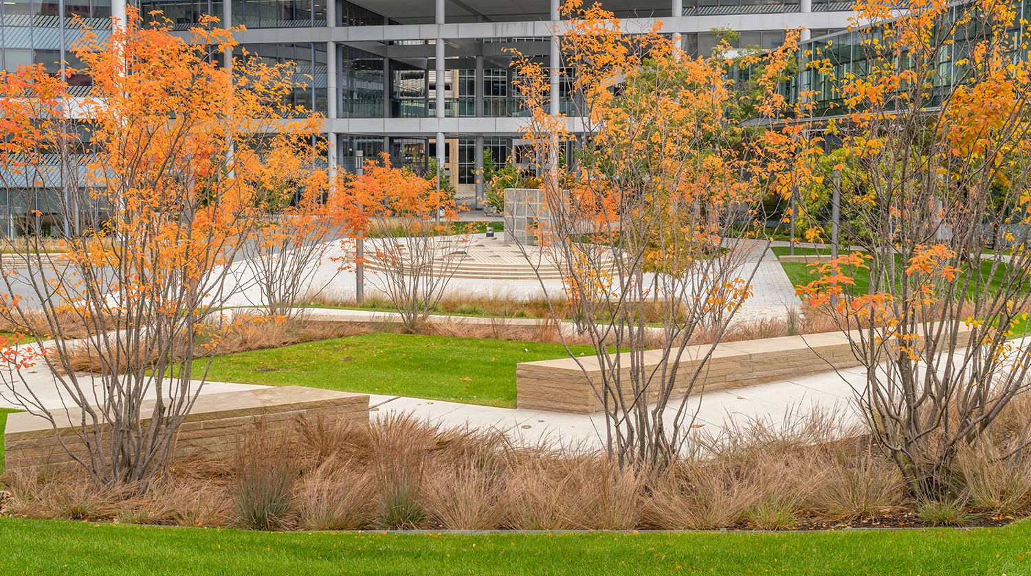 Commercial Fall Cleanup Checklist: Preparing Your Property for Winter